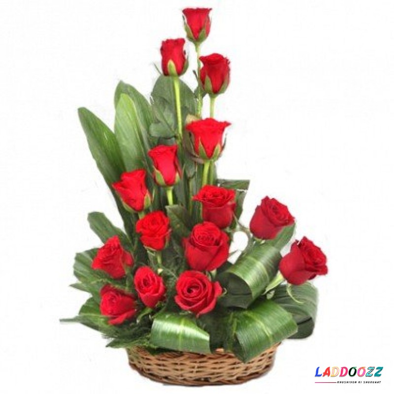 Special Basket Arrangement of 15 Red Roses Fresh Flowers 